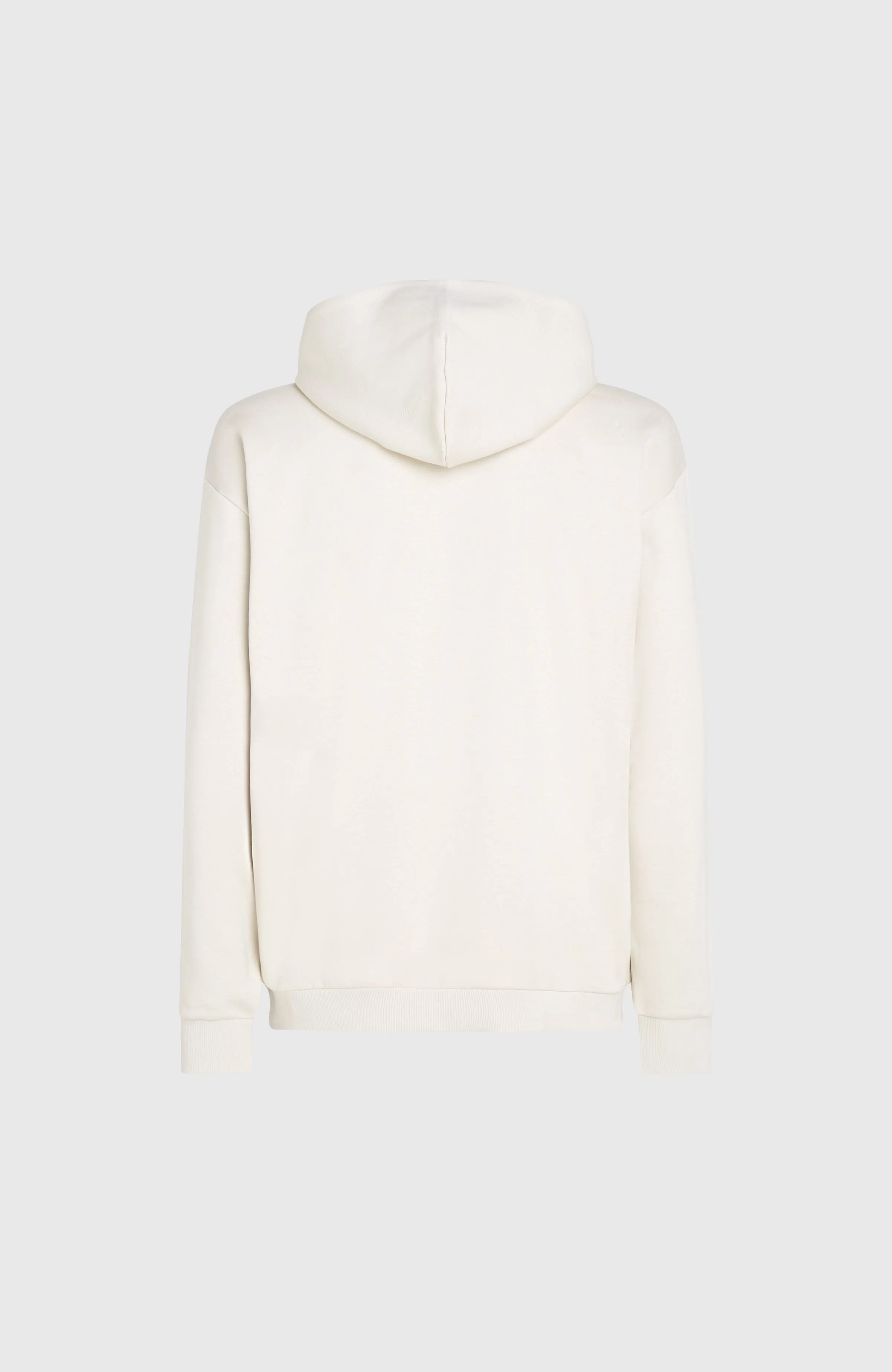 Future Surf Society Hoodie | Atmosphere