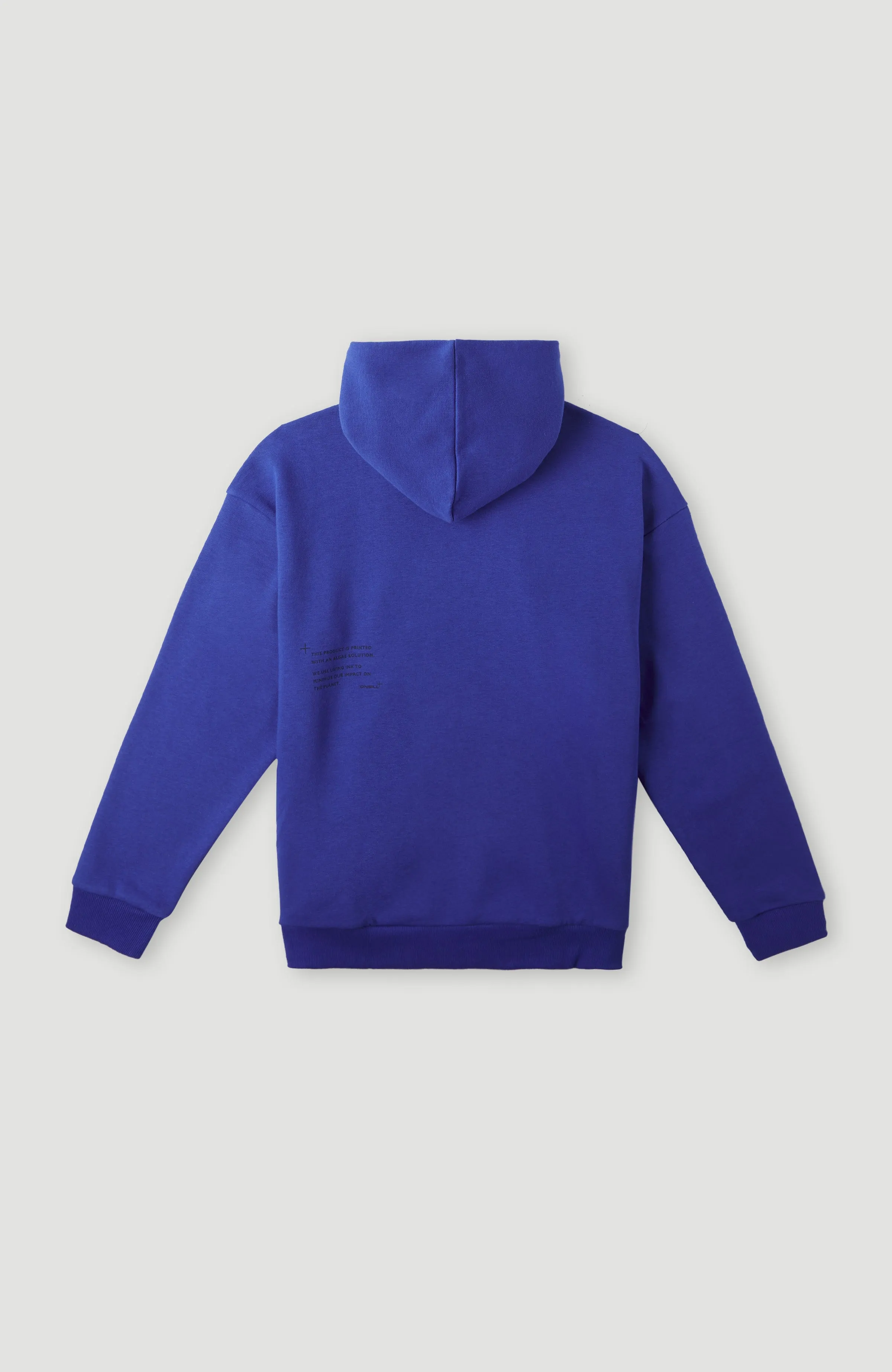 Future Surf Society Hoodie | Surf the web Blue