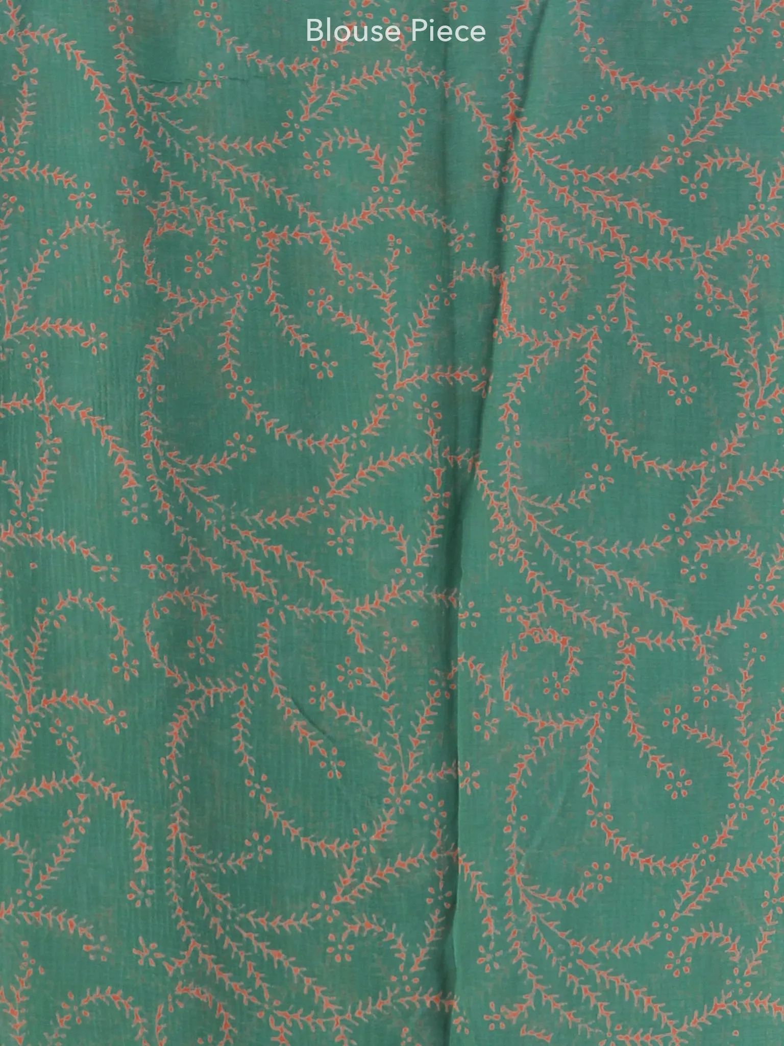 Green Coral Hand Block Printed Chiffon Saree with Zari Border - S031703959