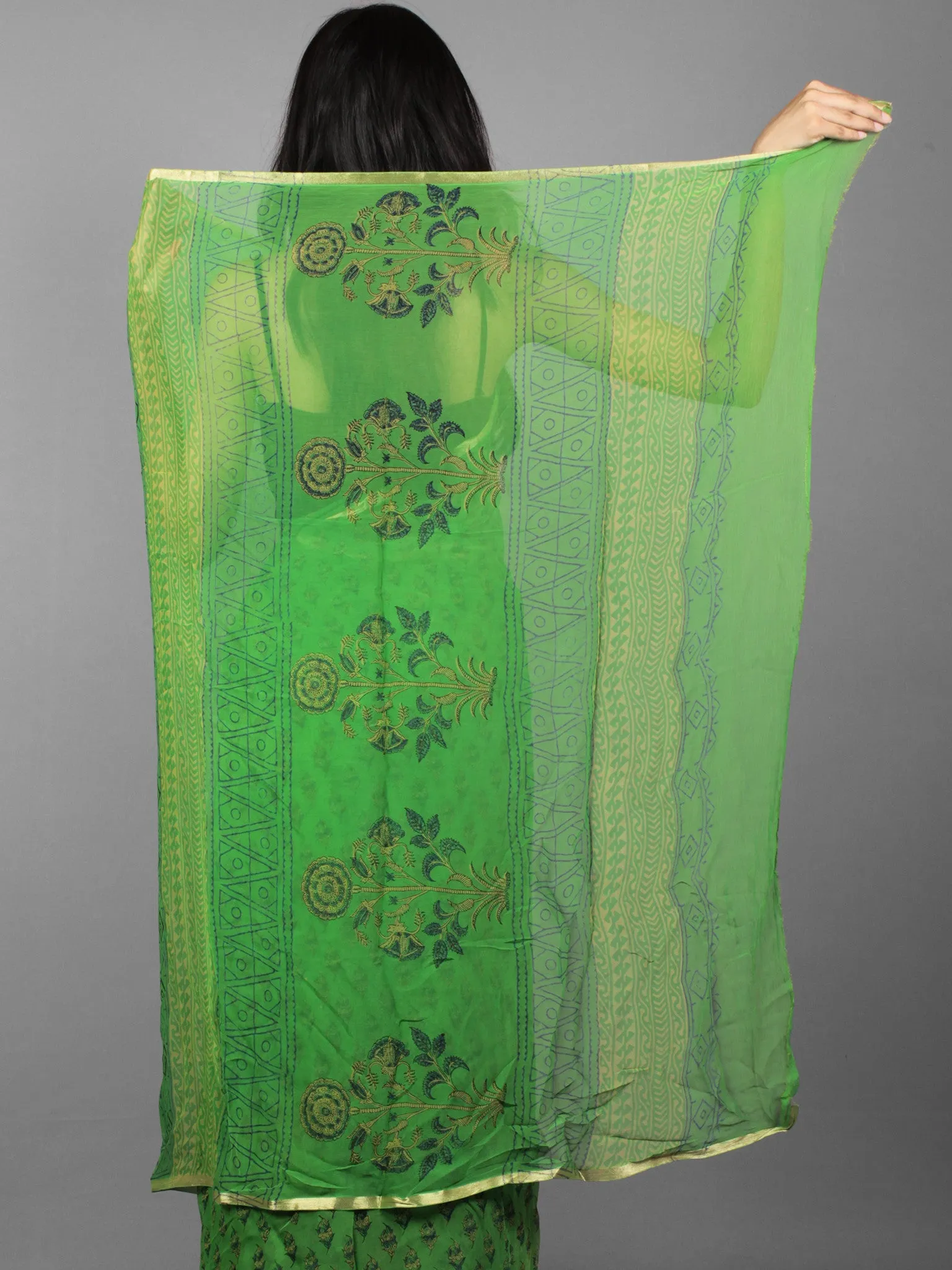 Parakeet Green Beige Black Hand Block Printed Chiffon Saree - S031701887