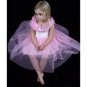 Pink Velvet Tutu Fairy Party Dress Opera style gown costume dressup party toddlers child
