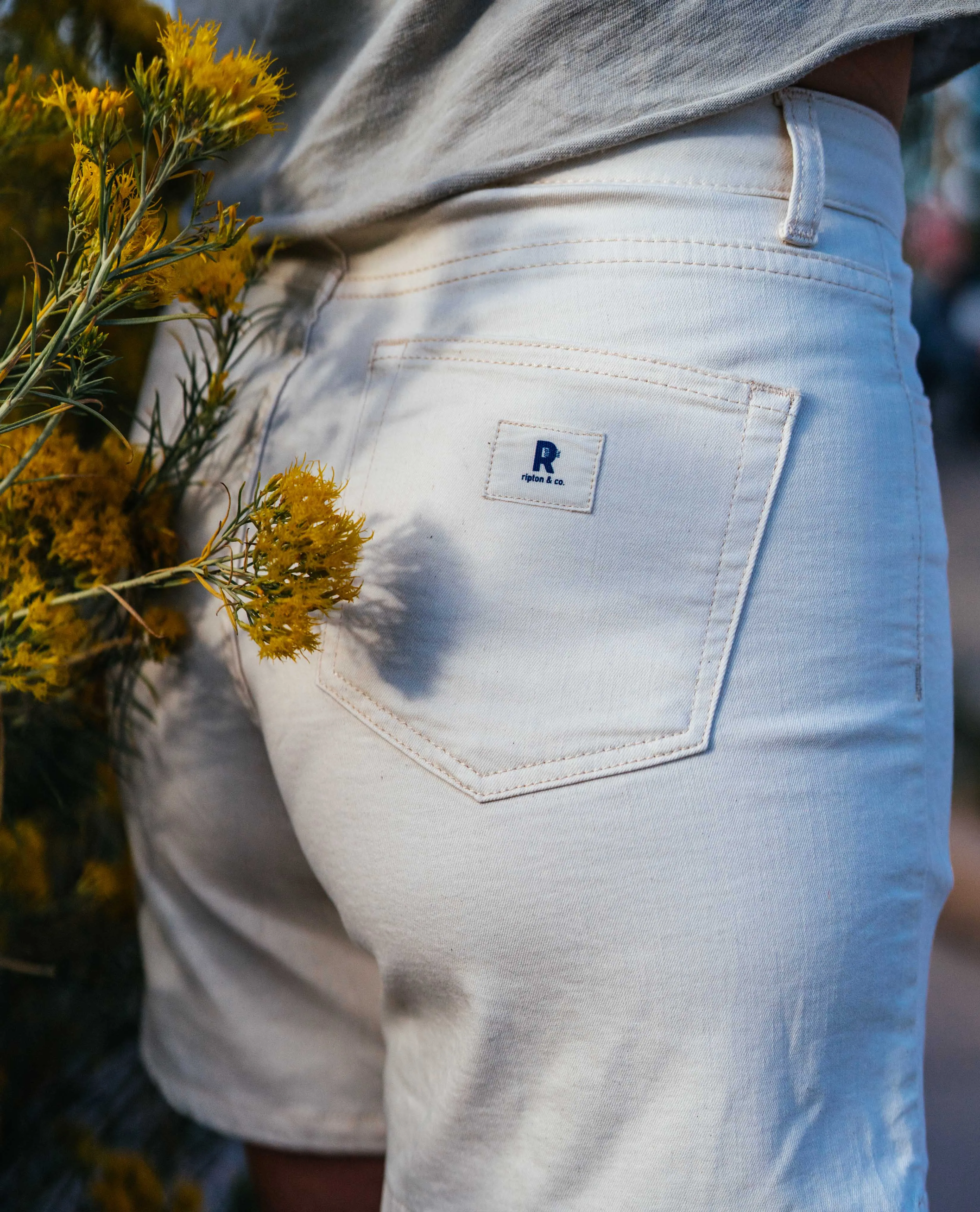Women's Canvas Shorts Natty White